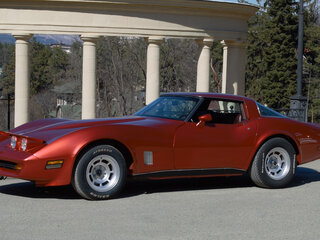 1980 Chevrolet Corvette C3, пурпурный, 7500000 рублей, вид 1