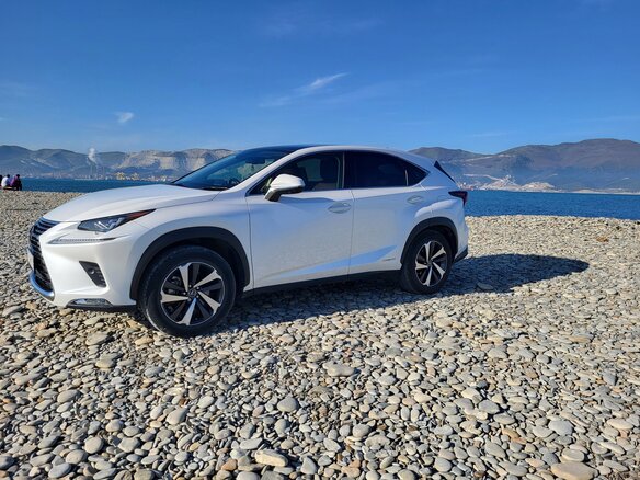 2020 Lexus NX 300h I Рестайлинг, белый, 3950000 рублей - вид 13