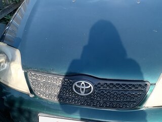 2006 Toyota Corolla IX (E120, E130) Рестайлинг, зелёный, 470000 рублей, вид 2
