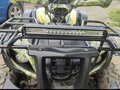 2021 Arctic Cat 300 Series, зелёный, 170000 рублей - вид 3