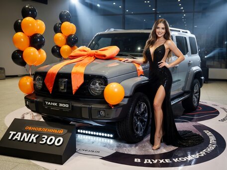 Tank 300 I