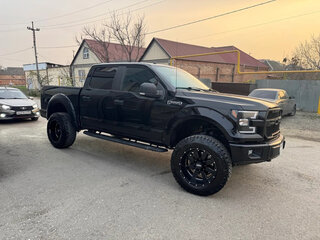 2017 Ford F-150 XIII, чёрный, 5450000 рублей, вид 2
