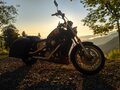1988 Honda VT 1100, пурпурный - вид 1