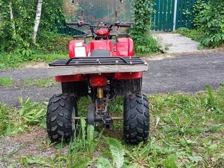 2020 Другие ATV (другие), красный, 80000 рублей, вид 4