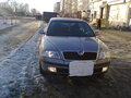 2008 Skoda Octavia I (A4) Рестайлинг, серый - вид 1