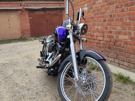 2002 Harley-Davidson Softail Deuce, синий, 800000 рублей, вид 2