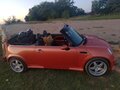2004 Mini Cabrio Cooper I, оранжевый, 1600000 рублей - вид 5