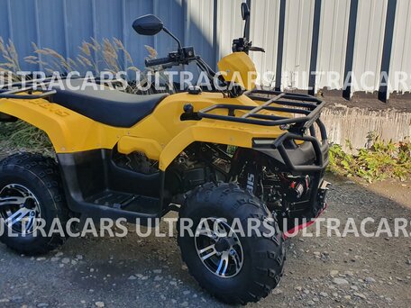 2026 Irbis ATV 200U, жёлтый, 235196 рублей, вид 2