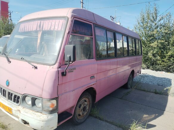 2001 Kia Combi, розовый, 300000 рублей - вид 4