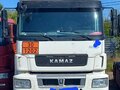 2021 КамАЗ 5490, белый, 5000000 рублей - вид 10