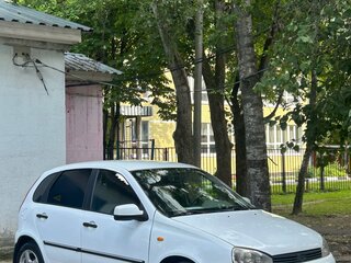 2010 Lada (ВАЗ) Kalina I, белый, 270000 рублей, вид 1