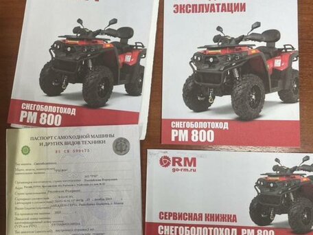 2020 Русская Механика (RM) РМ 800 DUO EPS, оранжевый, 1100000 рублей, вид 2