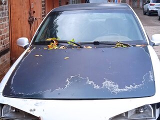 1998 Daewoo Espero, белый, 165000 рублей, вид 4