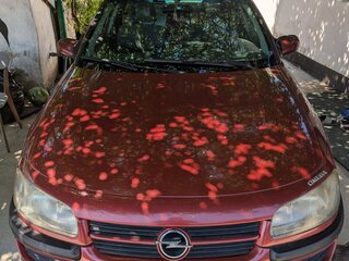 1996 Opel Omega B, красный, 220000 рублей, вид 2