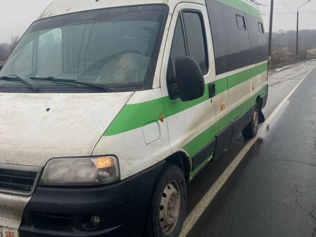 2010 Fiat Professional Ducato, белый, 799999 рублей, вид 5