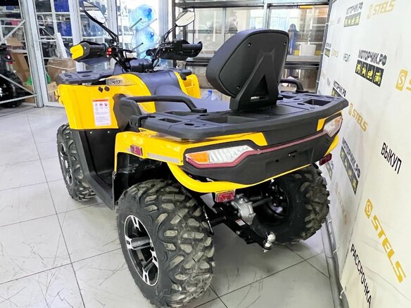 2025 Tao Motor Titan 300, жёлтый, 449000 рублей - вид 5