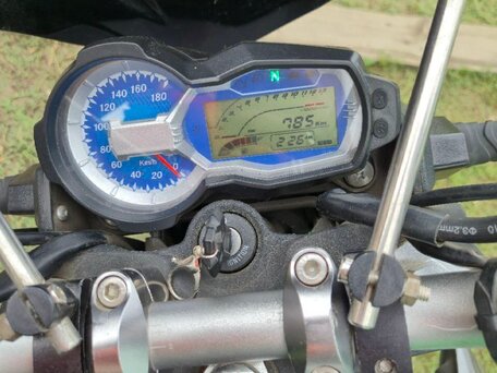 2020 Regulmoto T-Leopard 300, зелёный, 210000 рублей, вид 2