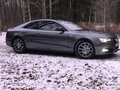2016 Audi A5 I (8T) Рестайлинг, серый, 2000000 рублей - вид 8