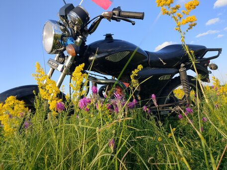2016 Racer Alpha, чёрный, 50000 рублей, вид 1