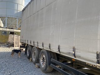 2008 Kogel SNC024, серый, 1000050 рублей, вид 1