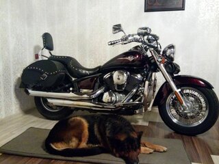 2008 Kawasaki VN900 Vulcan, пурпурный, 490000 рублей, вид 4