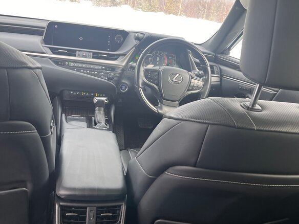 2019 Lexus ES 300h VII, синий, 4200000 рублей - вид 20