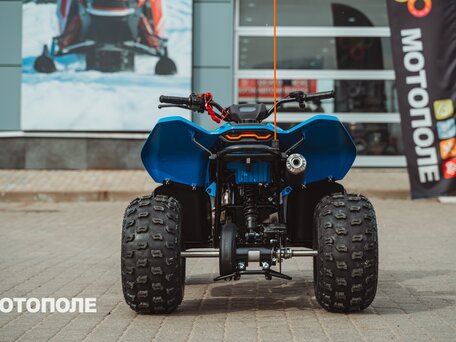 2026 CFMoto CFORCE 110, синий, 299900 рублей, вид 5