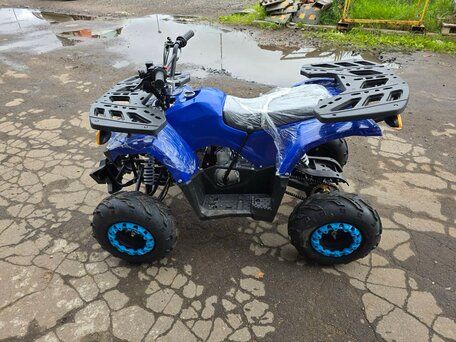 2025 Другие ATV (другие), синий, 110000 рублей, вид 3