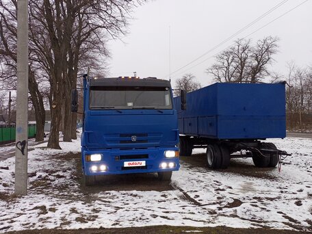 2010 КамАЗ 65117, синий, 2000000 рублей, вид 2