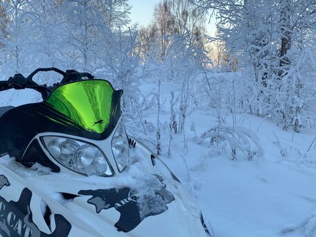 2009 Arctic Cat King Cat, белый, 355000 рублей, вид 1