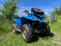 2006 Yamaha Wolverine YFM450, синий, 410000 рублей
