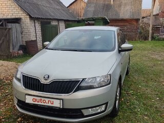 2015 Skoda Rapid I, серый, 809063 рублей, вид 2