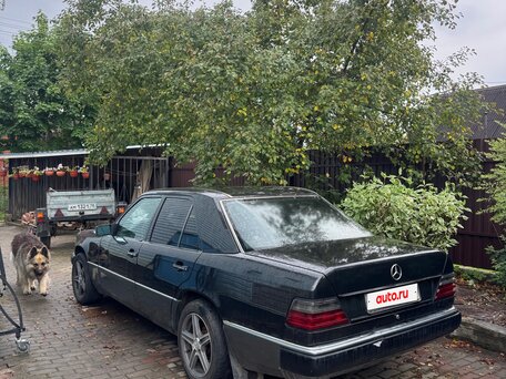 1990 Mercedes-Benz W124 200, чёрный, 395000 рублей, вид 4