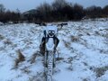 2019 Avantis Enduro 250, белый, 140000 рублей - вид 6