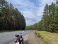 2004 Honda Shadow 750, чёрный, 520000 рублей - вид 2