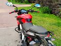 2021 Bajaj Pulsar NS 200, красный, 190000 рублей - вид 6
