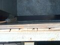 2011 ГАЗ ГАЗель (3302), белый, 1300000 рублей - вид 3
