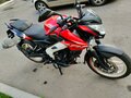 2021 Bajaj Pulsar NS 200, красный, 190000 рублей - вид 3
