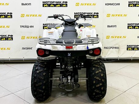 2025 Bison ATV200, белый, 219000 рублей, вид 4