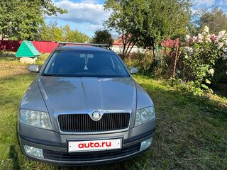 2006 Skoda Octavia II (A5), серый, 590000 рублей, вид 2