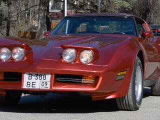 1980 Chevrolet Corvette C3, пурпурный, 7500000 рублей, вид 5