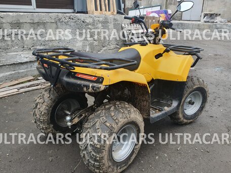 2026 Irbis ATV 200U, жёлтый, 235196 рублей, вид 4