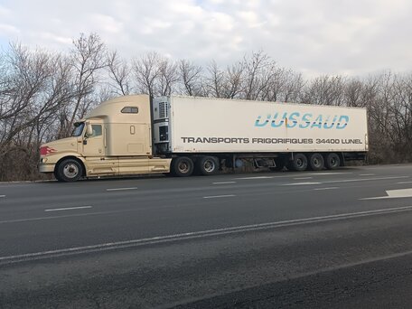 2003 International 9000 Series, золотистый, 1100000 рублей, вид 3