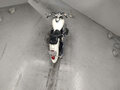 2000 Yamaha XVS1100, белый, 340000 рублей - вид 3