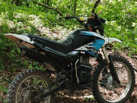 2017 Racer Panther, чёрный, 89000 рублей, вид 2