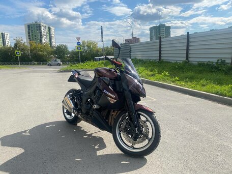 2010 Kawasaki Z 1000, коричневый, 680000 рублей, вид 2