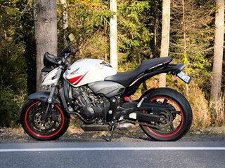 2009 Honda CB 600F Hornet, белый, 490000 рублей, вид 1
