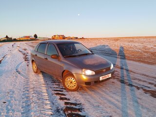 2009 Lada (ВАЗ) Kalina I, серый, 240000 рублей, вид 3