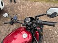 2016 Harley-Davidson Street 750, красный, 585000 рублей - вид 6
