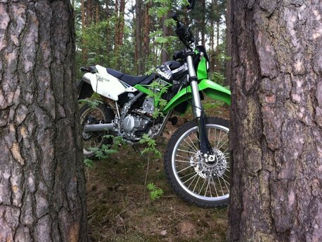 2014 Kawasaki KLX 250, зелёный, 390000 рублей, вид 1